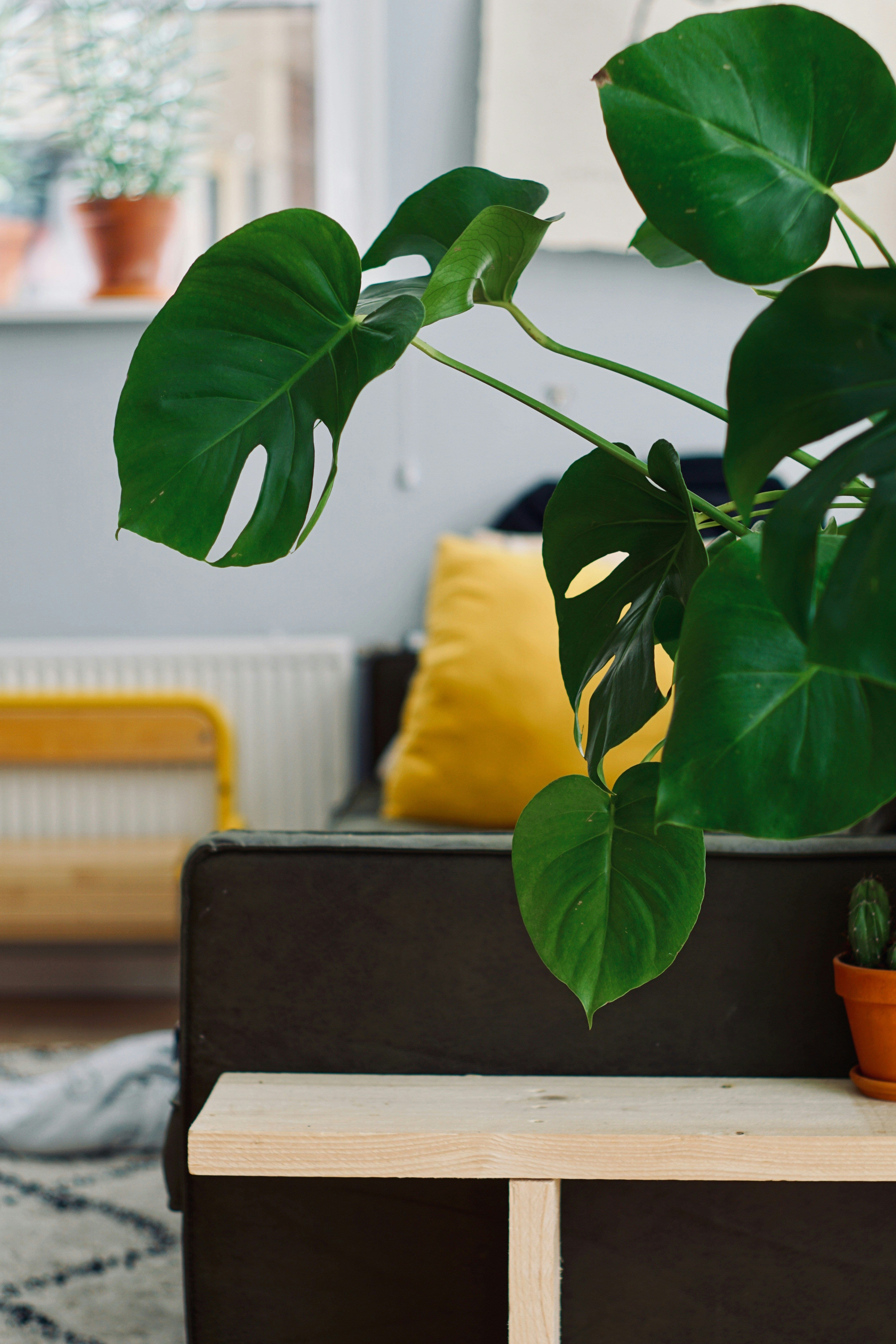 sven-brandsma-7whKvVKL7P4-unsplash